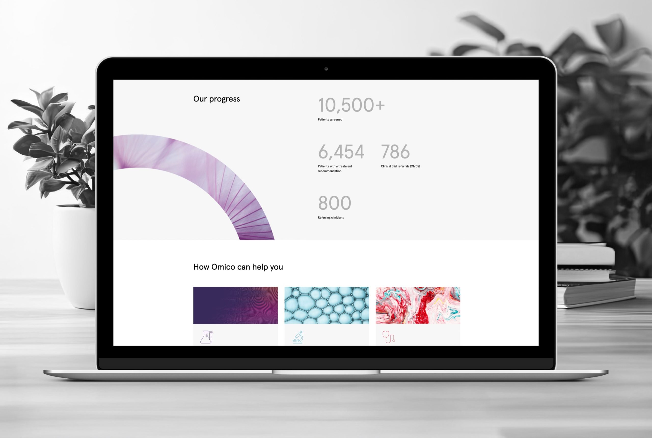 Analytics overview on a laptop screen showing progress data